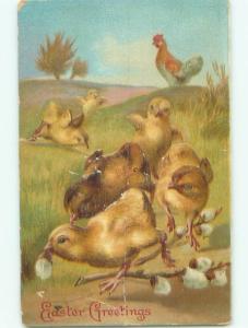 Divided-Back EASTER CHICK SCENE Cute Postcard AA0958