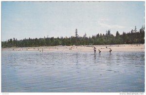 Miracle Beach Resort, Beach Shore, VANCOUVER, British Columbia, Canada, 40-60´s