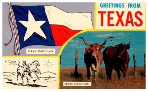 Texas  LARGE LETTER