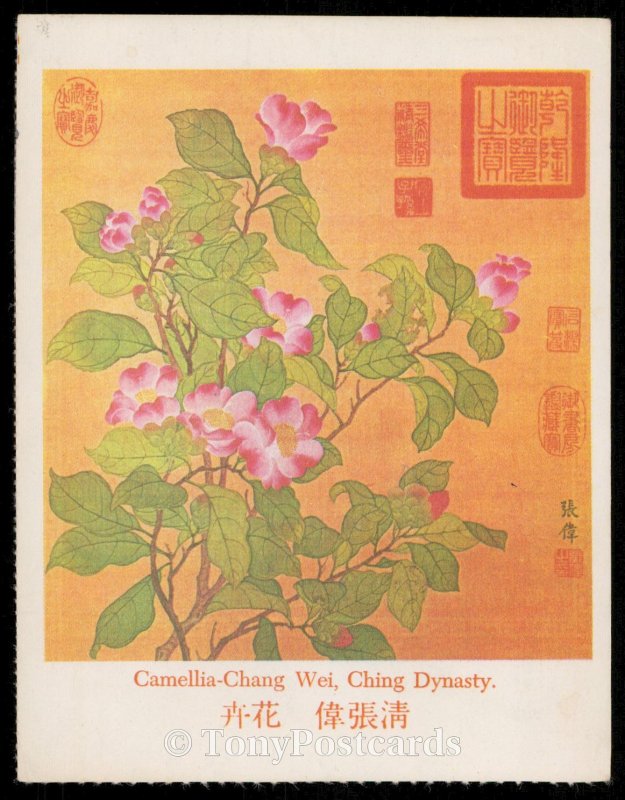 Camellia-Chang - Wei, Ching Dynasty - Dragon Inn