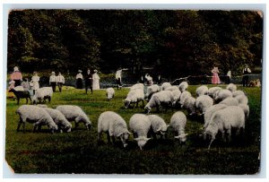 1916 Sheep At Farm Scene People Prescott Iowa IA Posted Antique Postcard