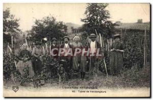 Postcard Old Wine Harvest types pickers TOP