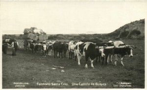PC CPA ARGENTINA, SANTA CRUZ, UNA CARRETA DE BUEYES, Vintage Postcard (b21491)