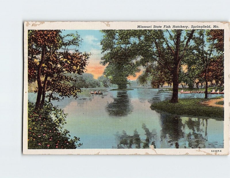 Postcard Missouri State Fish Hatchery, Springfield, Missouri
