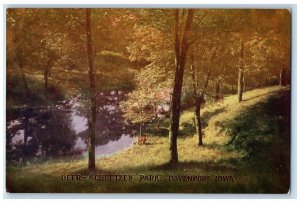 c1910 Scenic View Deer Schuetzen Park Davenport Iowa IA Antique Vintage Postcard