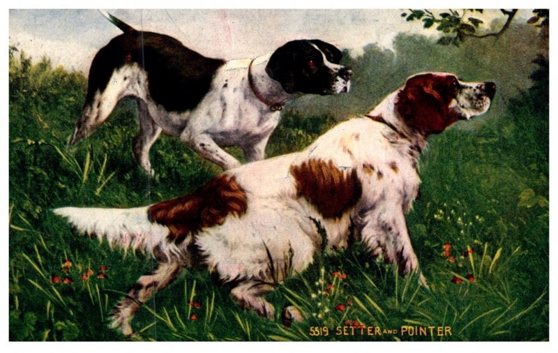 Dog , Setter and Pointer , National Sportsman Catalog