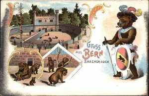 Bern Switzerland Bears Fantasy Dressed Animals Sword & Shield c1900 Postcard