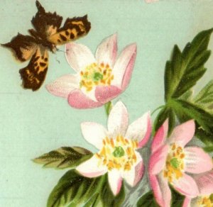 1883 Victorian Easter Card Butterflies Moths Pink Blossoms #2 F129