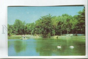 479121 USSR 1978 city  Saki ornamental lake Swans photo Yakimenko