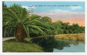 FL - Daytona Beach, Bulow Creek & Date Palms