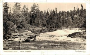 Canada Nemegosenda Camps Moose Country Vintage RPPC 07.61