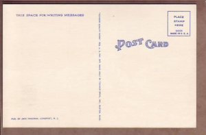 NJ Atlantic City Sea Gulls over Breaking Waters