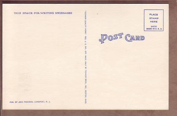 NJ Atlantic City Sea Gulls over Breaking Waters