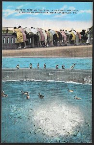 Visitors Leaning Feeding Fish Pymatuning Reservoir Linesville PA Unused c1940s