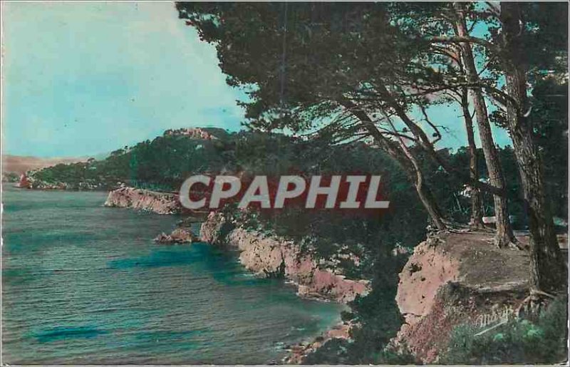 Modern Postcard Toulon La Cote Ste Marguerite cut