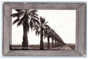 c1910 Thousand Wonders Road Palm Avenue Near Fresno California CA Postcard