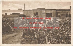 MS, Biloxi, Mississippi, Workers Shucking Oysters, Albertype