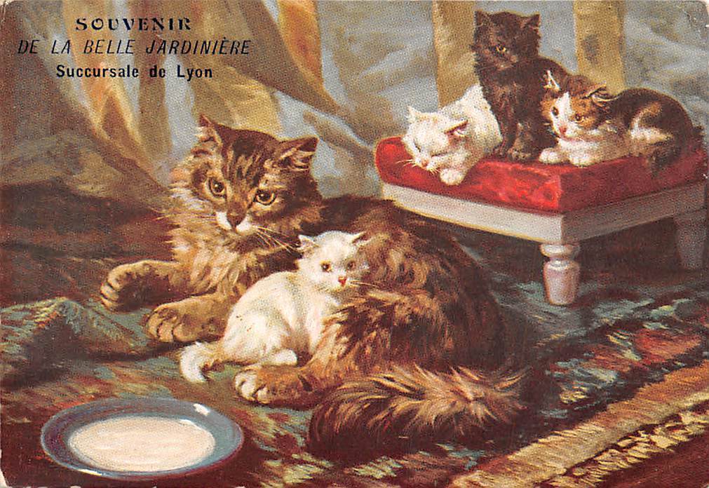 Souvenir De La Belle Jardiniere Succursale De Lyon Cats Chats Hippostcard