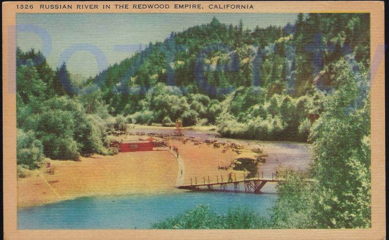 RUSSIAN RIVER IN THE REDWOOD EMPIRE(1326) CALIFORNIA