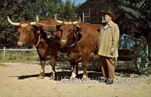 Farmer, Ox Cart & Oxen - Sturbridge, Massachusetts MA  