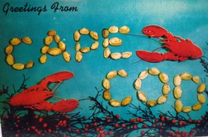 Greetings From Cape Cod Massachusetts Lobsters Clam Large Letter Chrome Postcard