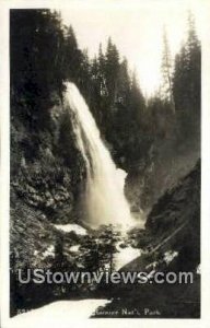 Real Photo - Rainier National Park, Washington