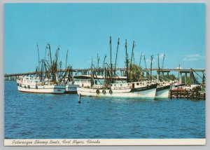 Ship~Shrimp Boat Fleet At Port~Caloosahatchee River~Ft Myers FL~Continental PC