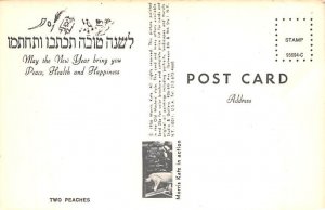 Two Peaches Artist Morris Katz Unused 