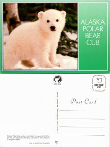 Alaska Polar Bear Club (23643