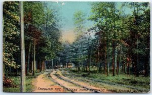 Postcard - Through The Soldiers' Home Grounds - Grand Rapids, Michigan