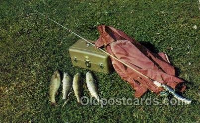 Walleyed Pike Fishing 1956 