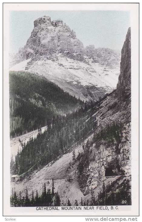 RP, Cathedral Mountain Near Field, British Columbia, Canada, 1920-1940s (1)