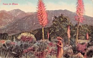 VICTORIAN ATTIRED WOMAN ADMIRING YUCCA IN BLOOM-NEWMAN POSTCARD 1910s