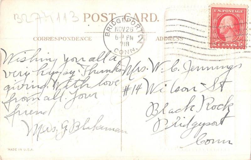 BR74113 pumpkin  thanksgiving  usa