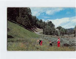 Postcard Children Picking Wild Flowers