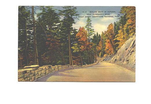Skyline Drive, Clinton's Dome, Great Smoky Mountain Park, Tennessee, Used 1964