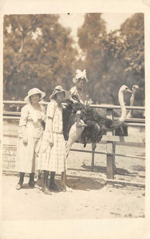 RPPC Cawston Ostrich Farm, South Pasadena, CA 1921 Vintage Postcard