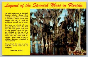 Legend Of The Spanish Moss In Florida, Vintage Chrome Postcard #1