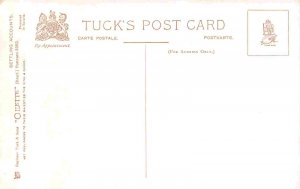 Dog Puppies Settling Accounts 1910c Tuck postcard