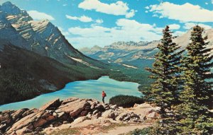 Postcard Peyto Lake in Columbia Ice Fields Canada