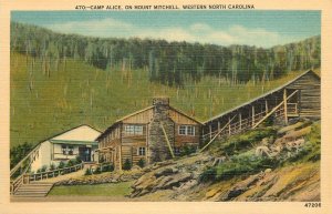 Linen Postcard Camp Alice On Mount Mitchell Western North Carolina Yancey County