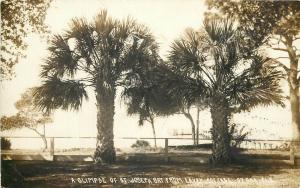 A Glimpse of St. Joseph Bay from Eavey Cottage Ozona Florida United States RPPC