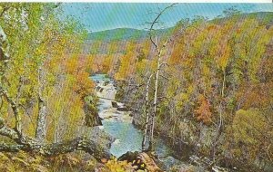 Scotland Postcard - The Falls of Rogie - Ross & Cromarty  ZZ716