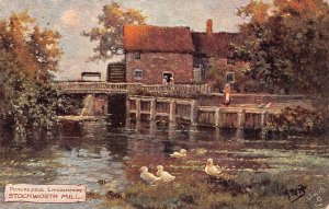 A204 England 1909 Lincolnshire Stockworth Mill Ducklings Farm Mill postcard
