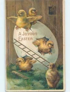 Bent Corner 1909 easter CHICKS USING LADDER TO CLIMB LARGE CRACKED EGG HL0821