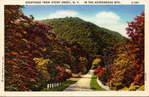 New York Adirondacks Greetings From Stony Creek Curteich