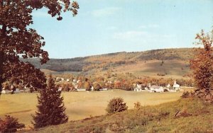 Mountain Village Delhi, New York  