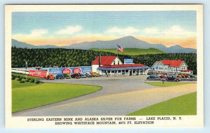LAKE PLACID, NY ~ Sterling Eastern Mink & Alaska Silver Fox Farms c1940 Postcard 