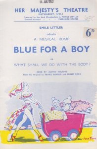 Blue For A Boy Musical Her Majestys Theatre Programme