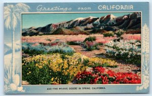 MOJAVE DESERT, CA California ~ The DESERT in SPRING c1940s Linen Postcard